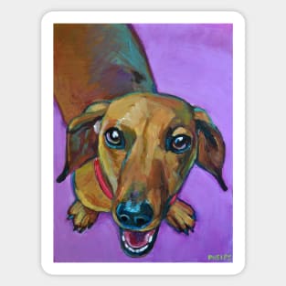 Cute SMILING DACHSHUND Sticker